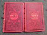 Victor Hugo - O Homem que ri - 2 volumes