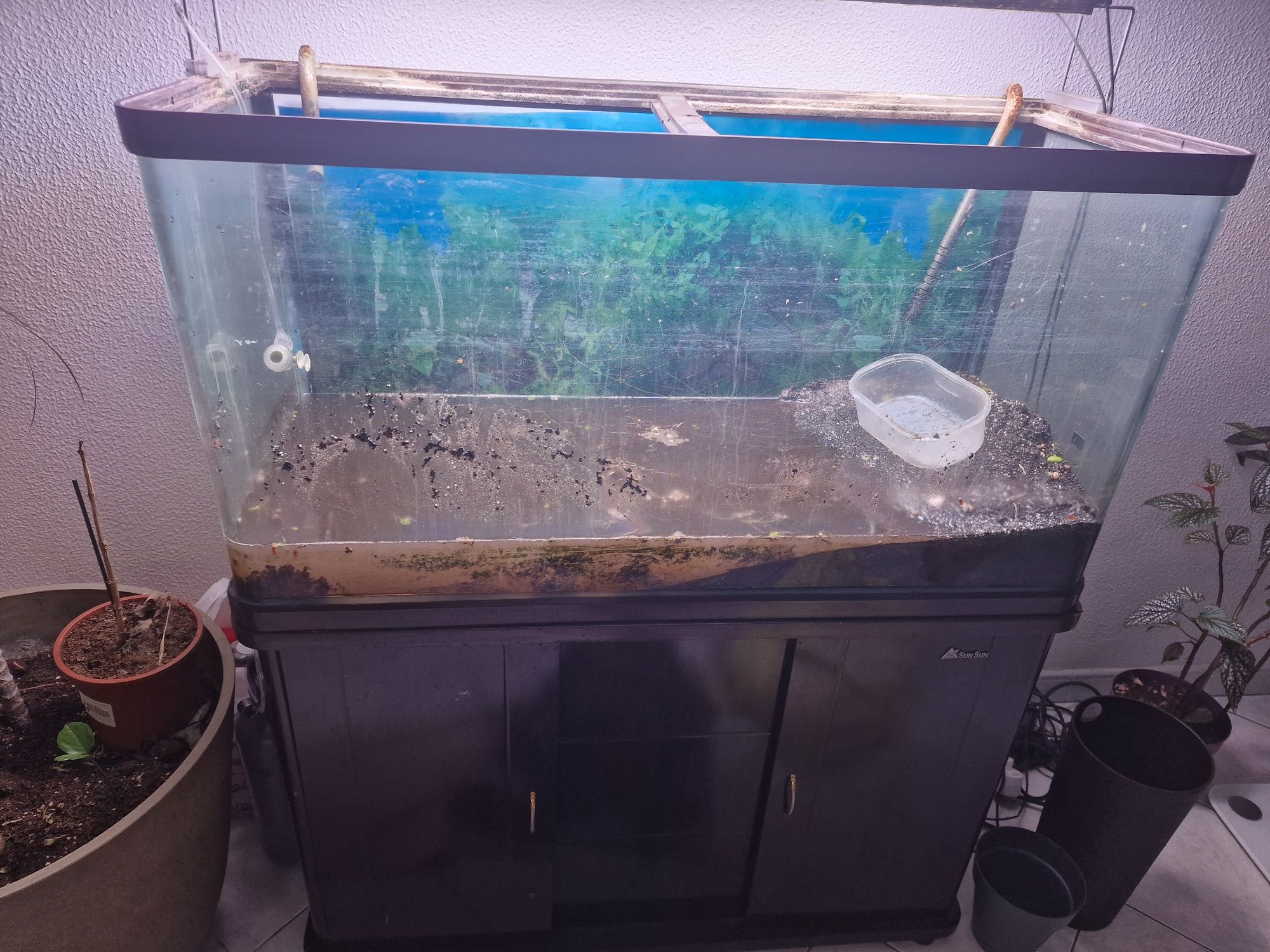 Aquario 100x50x40 + filtro + calha + kit CO2 + acessorios