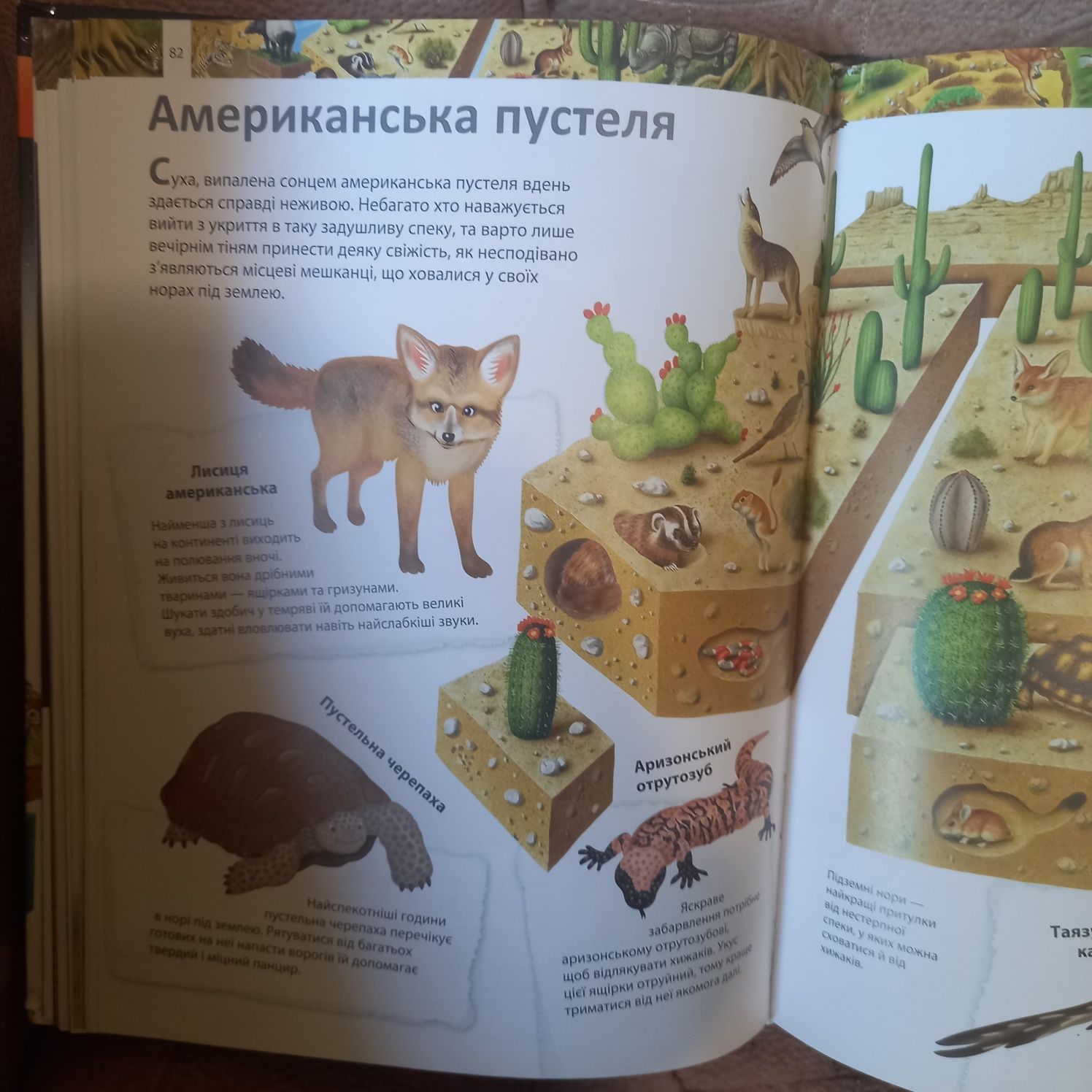 Енциклопедія для дітей