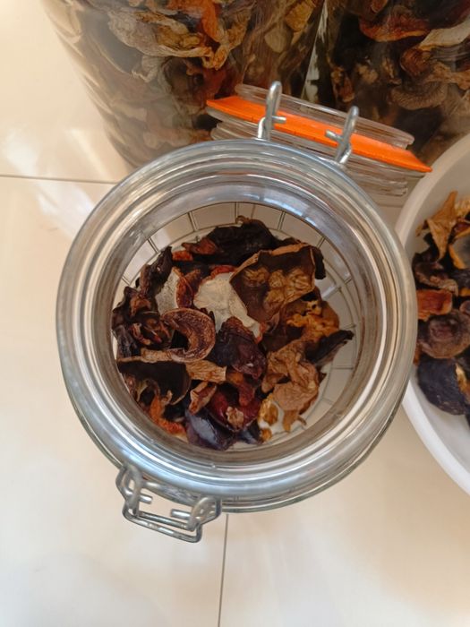 Suszone grzyby tegoroczne