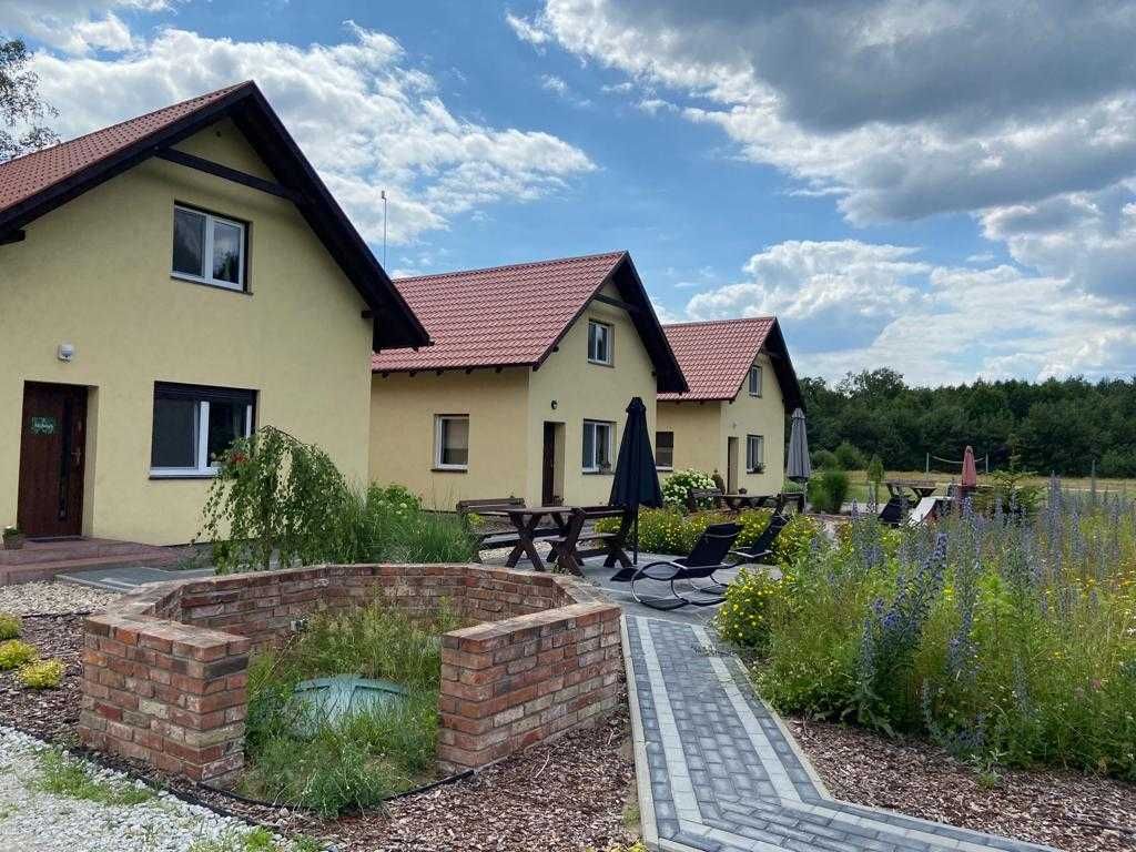 Bednarzówka - dla miłośników przyrody i pracowników | WOLNE W LIPCU