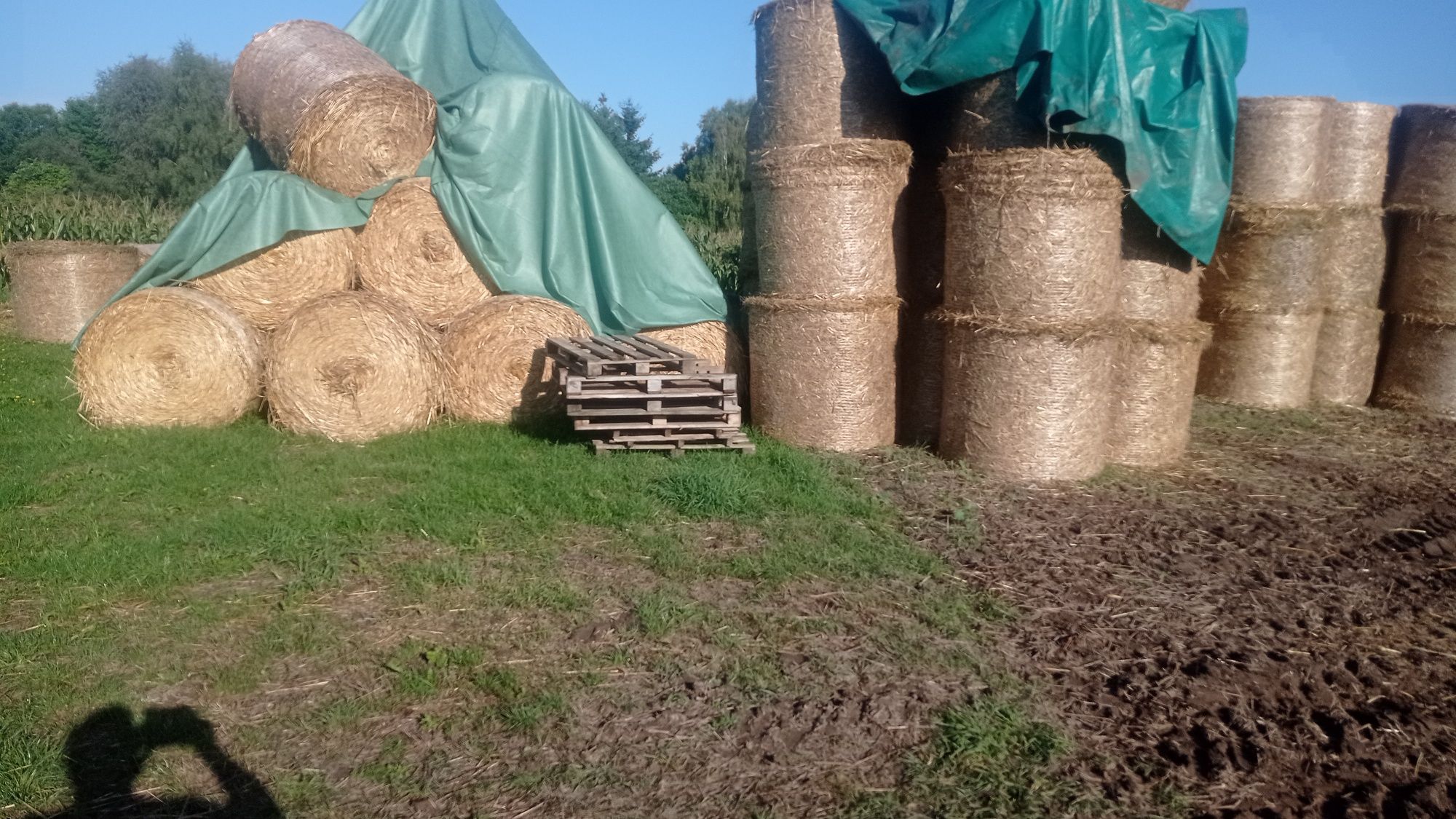 Słoma bele baloty transport obornik