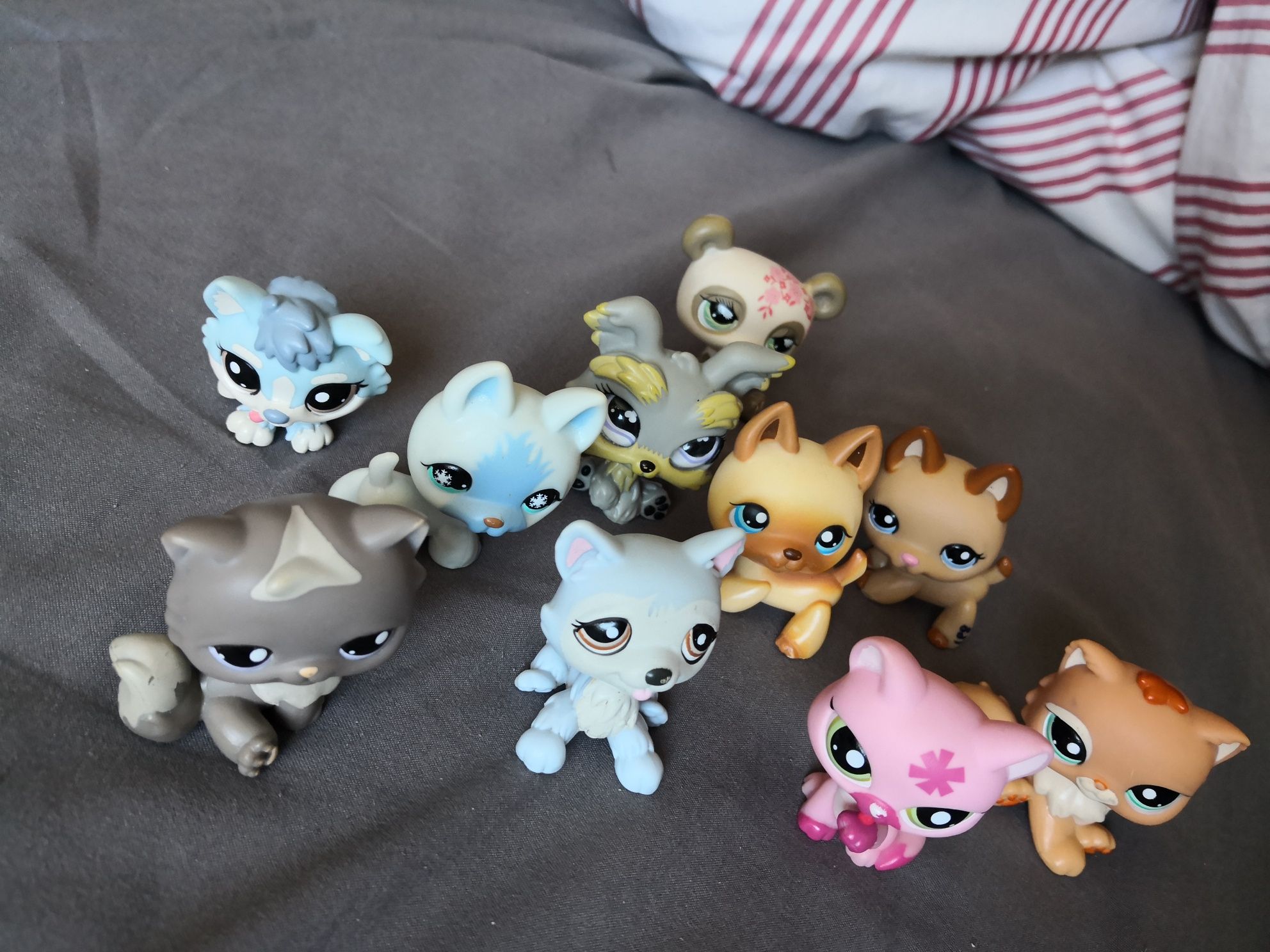 Littlest pet shop figurki lps hasbro unikat husky owczarek pers kot