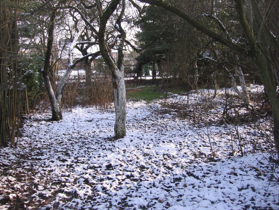 Sprzedaż działki ROD Odnowa Szczecin