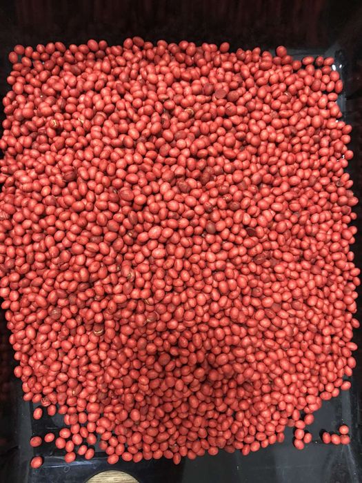 Насіння сої ABEE, ГМО, канадський трансгенний сорт