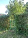 Ogródek działkowy ROD Wypoczynek Zabrze Biskupice