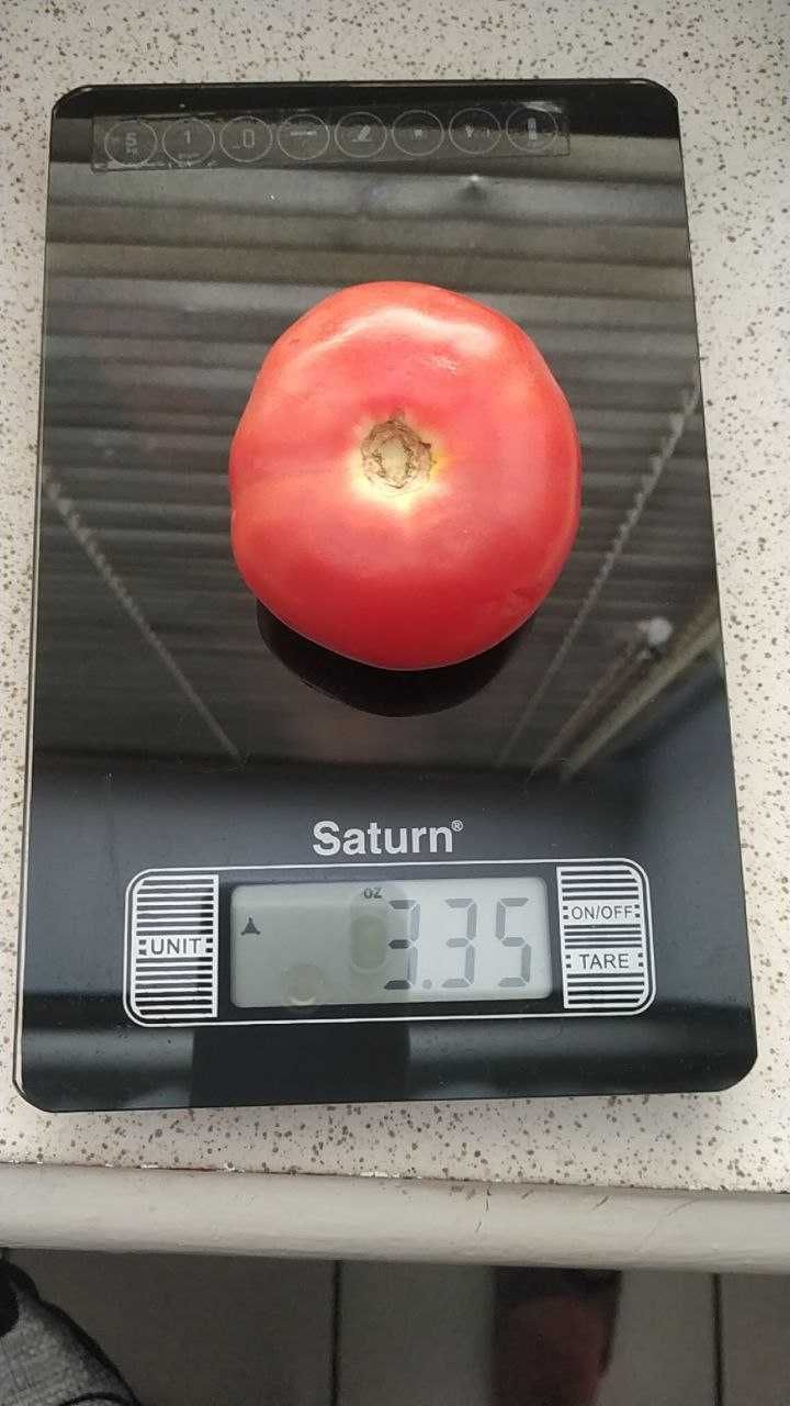 Кухонні ваги Saturn