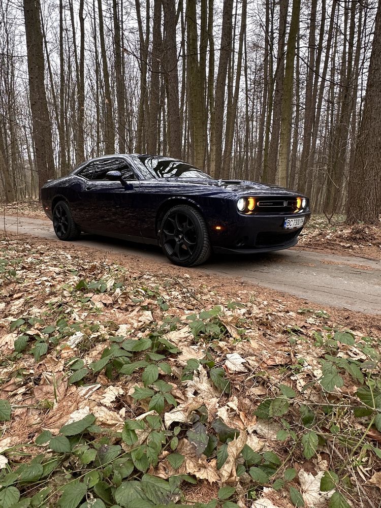 Dodge Challenger 2017