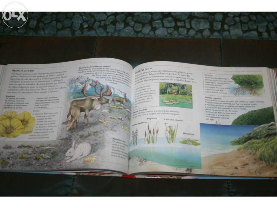 Livro " Descobrir Enciclopédia Mundo Natural"