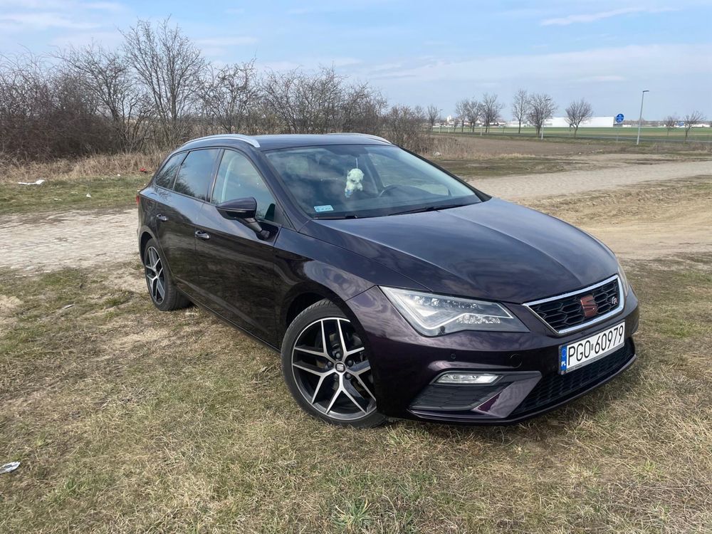 Seat Leon 2.0 EcoTSI, 2.0 TSI, 190KM DSG 2019r
