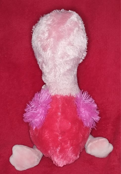 Mis flaming szuka domu