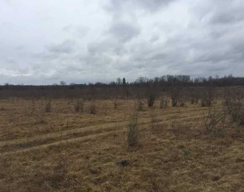 Продам земельну ділянку Львівська область