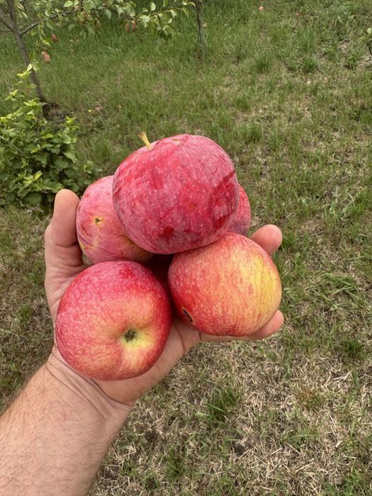 Продается дом в хорошем месте!