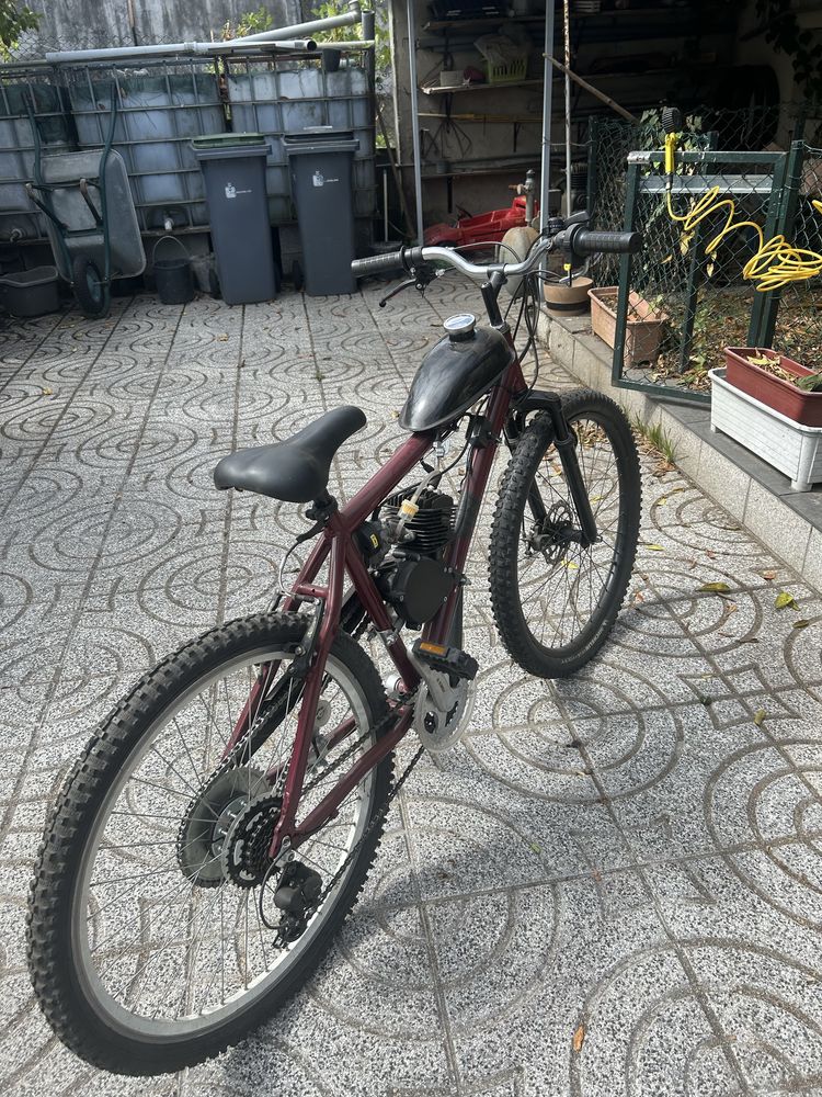 Bicicleta mororizada