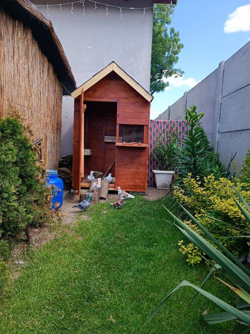 Domek narzędziowy kurnik,gołebnik ,altanka