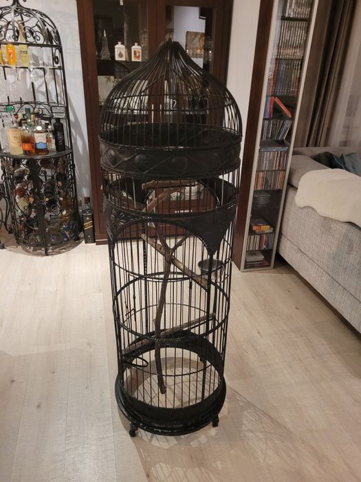 Duża stylowa klatka - woliera dla ptaków