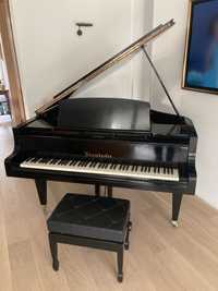 Piano de Cauda Bosendorfer