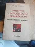 José Pequito Rebelo, Fomento e Povoamento Estratégicos
