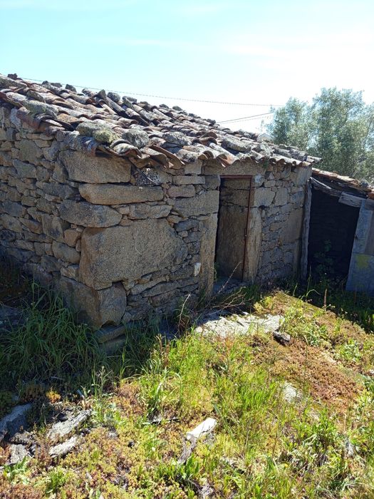 Vendo uma ruína em estevais da Vilariça