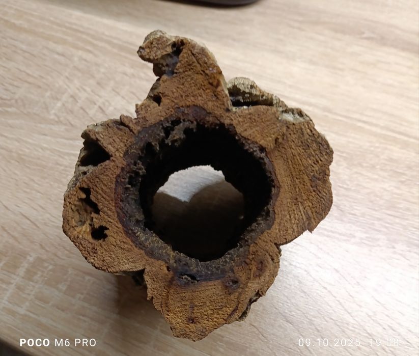BioCork Tube XS Tuba korkowa Dębu korkowego Kryjówka Jaskinia do Terra