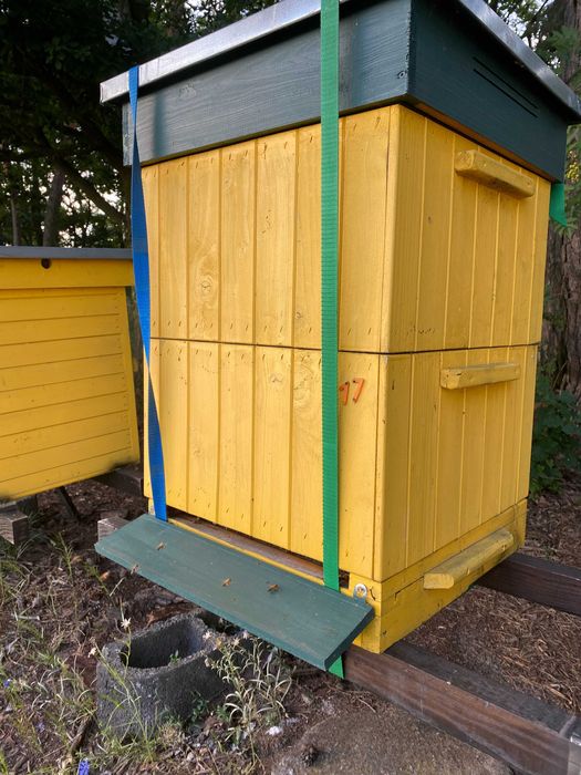 sprzedam ule ramka wielkopolska leżaki i korpusowe