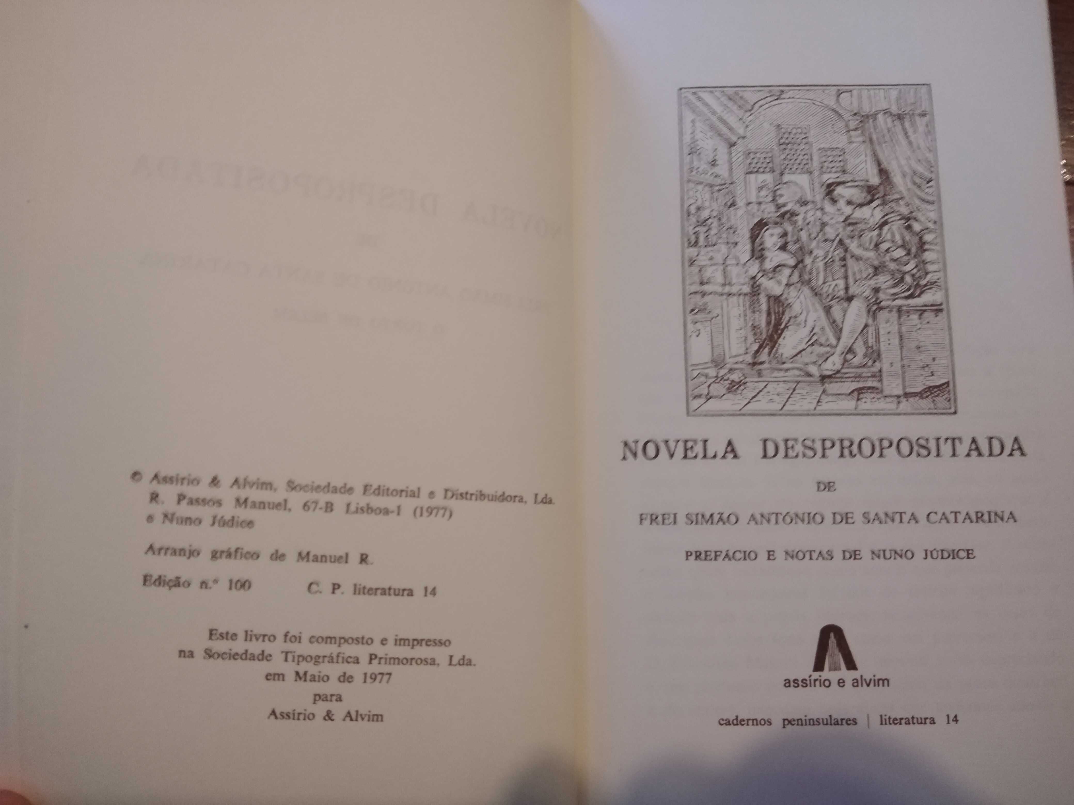 Frei Simão António de Santa Catarina - Novela despropositada