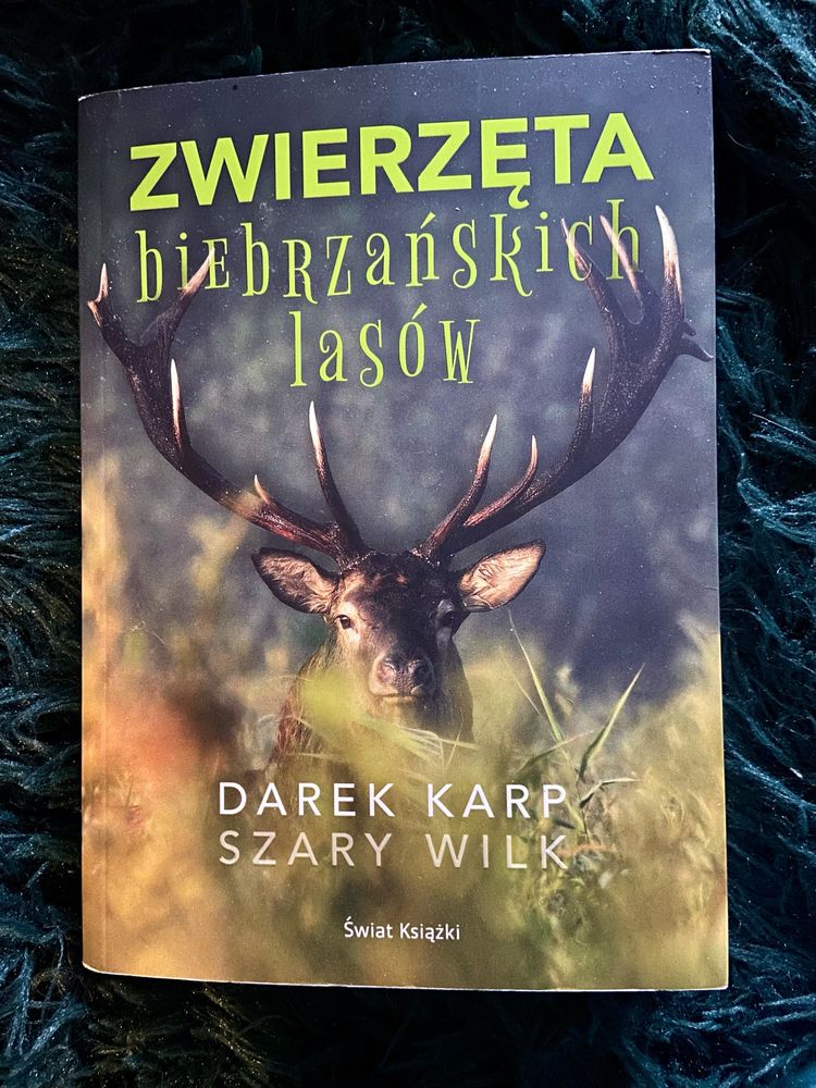 Zwierzęta biebrzańskich lasòw. Darek Karp. Szary wilk