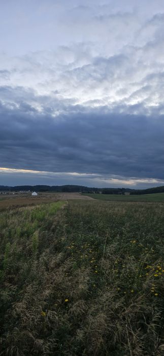 Sprzedam działki, działka, Borzytuchom koło Bytów