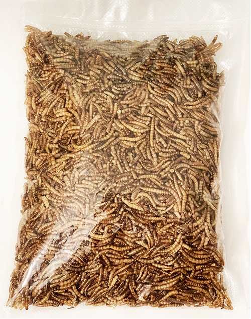 Balmax, Suszone larwy mącznika młynarka / Mealworm / 400g