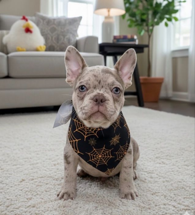 Хлопчик красунчик