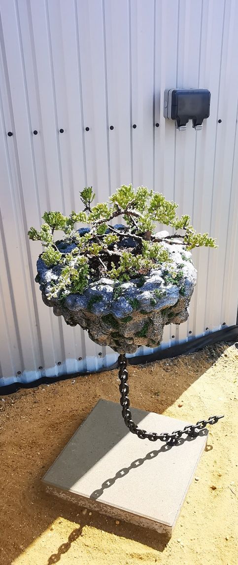 Donica bonsai lewitujacy kamień.