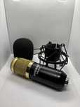 Microfone Newster NW-800 Dourado