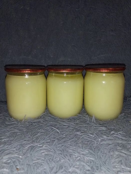 Борсучий жир. Свіжий, натуральний .