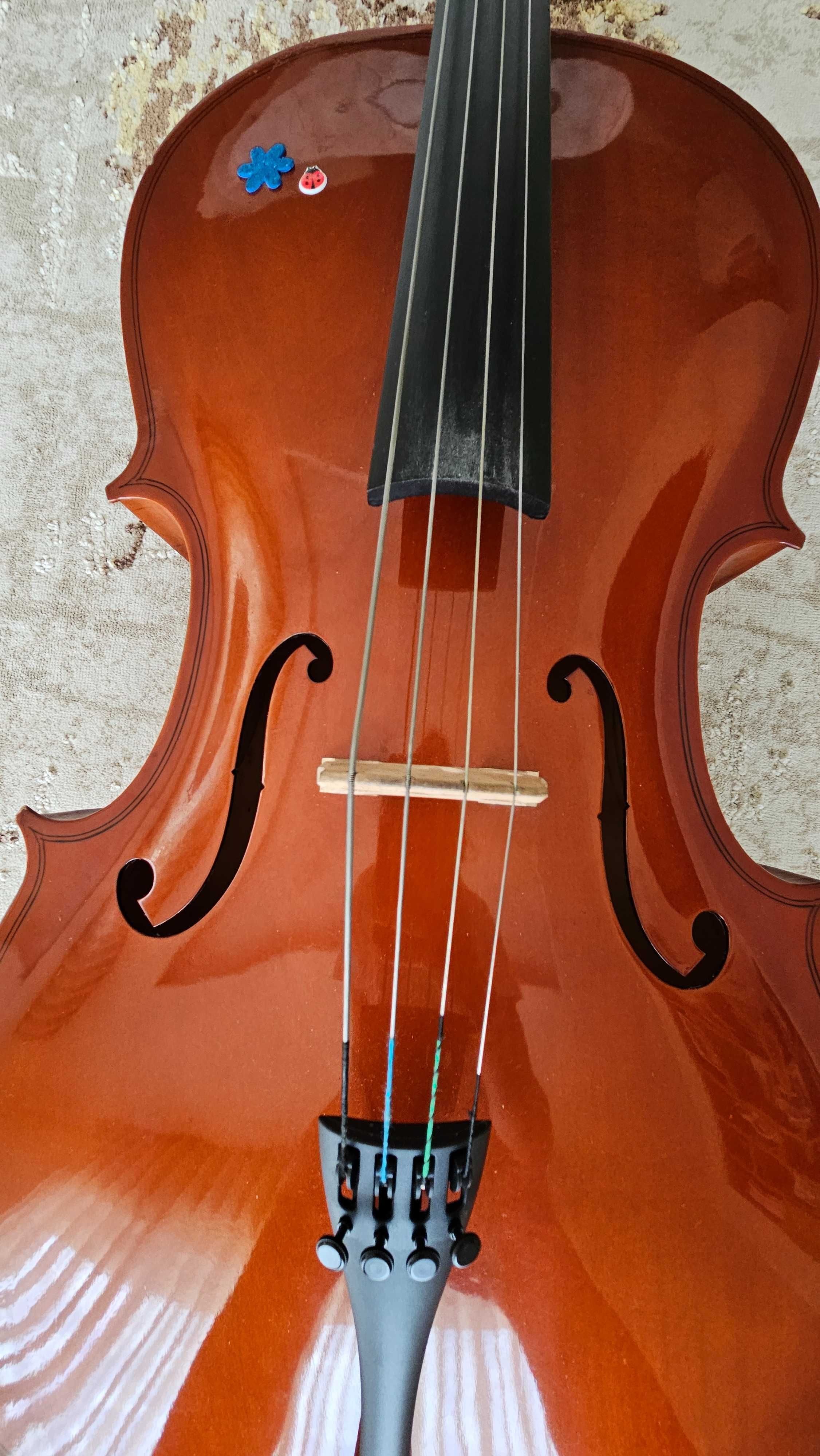 Violoncelo CERVINI 3/4