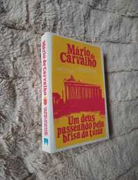 Livro "Um Deus passeando pela brisa da tarde" de Mário de Carvalho