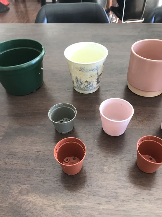 Vários vasos médios e pequenos para plantas