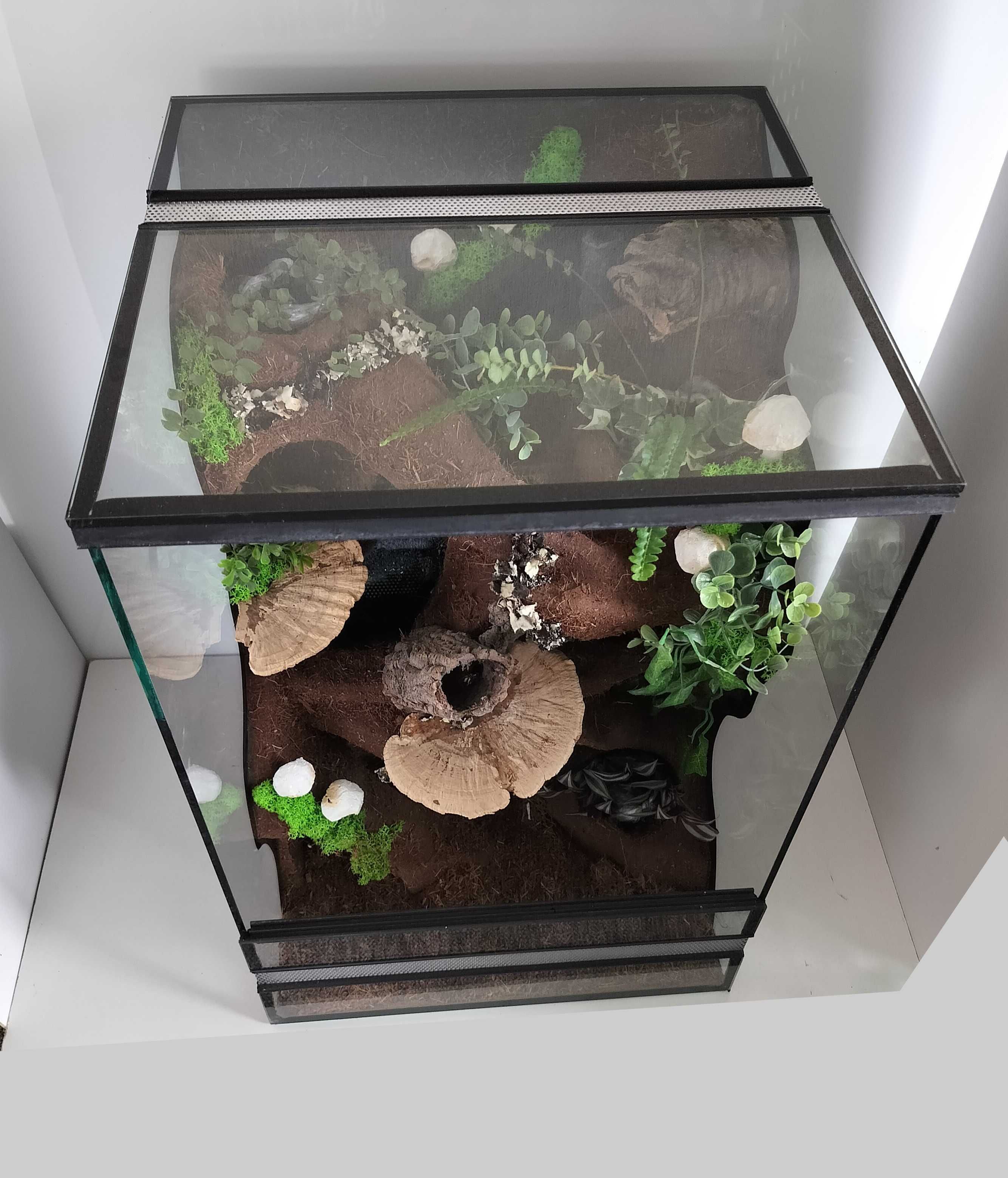 Terrarium z wodospadem dla gekona orzęsionego, TW54TWG, AquaWaves