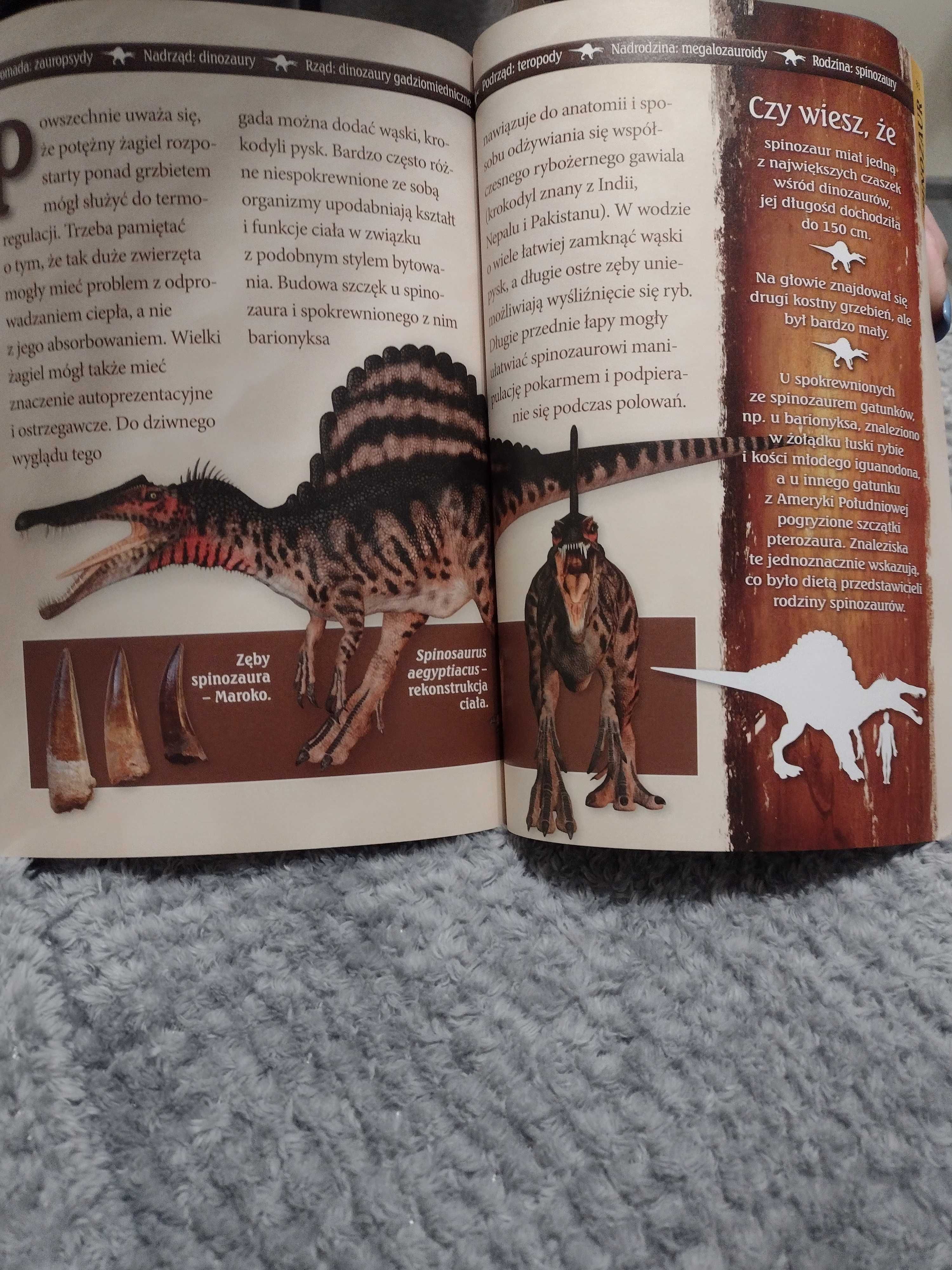 Książka o dinozaurach