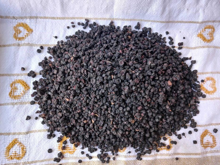 Яфина високогірна