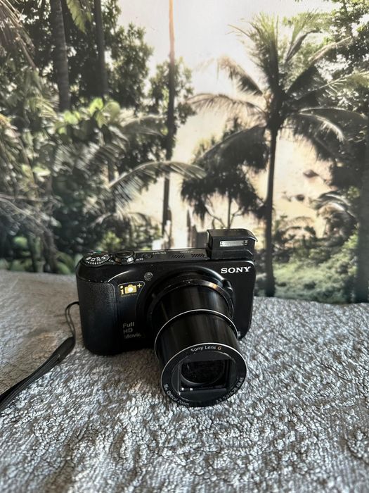Sony Cybershot DSC-HX10V