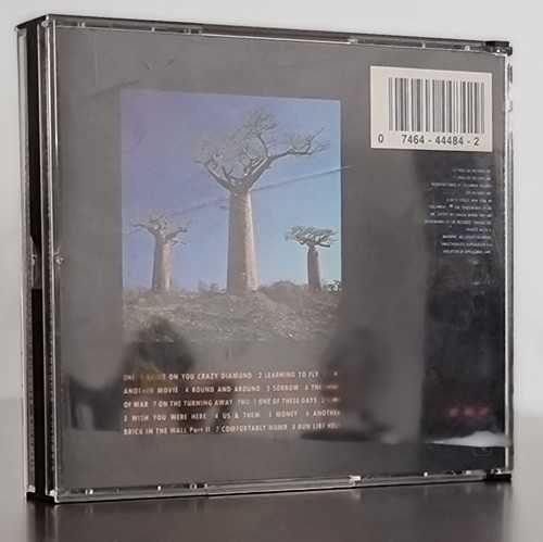 Delicate Sound of Thunder - 2 CD,s Pink Floyd