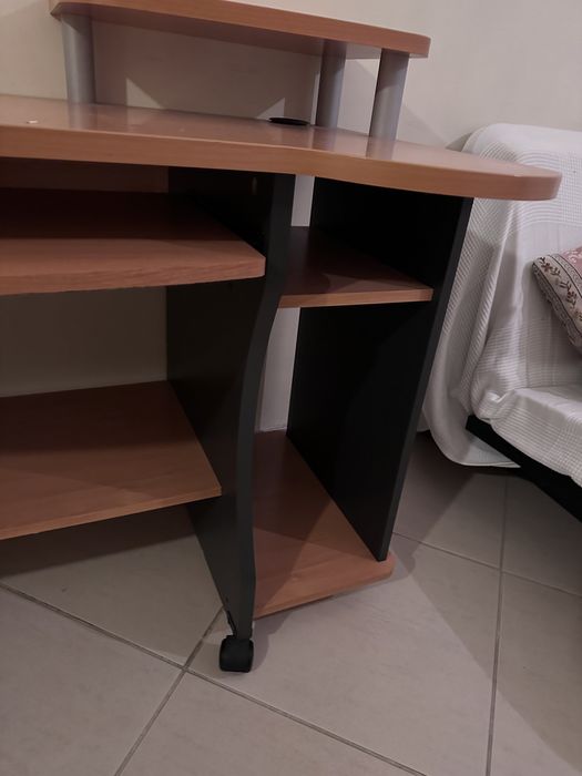 Secretaria castanha