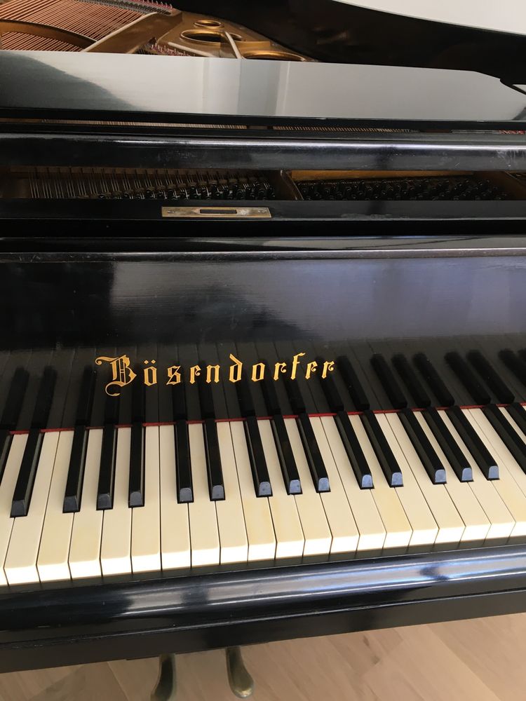 Piano 1/4 cauda Bosendorfer