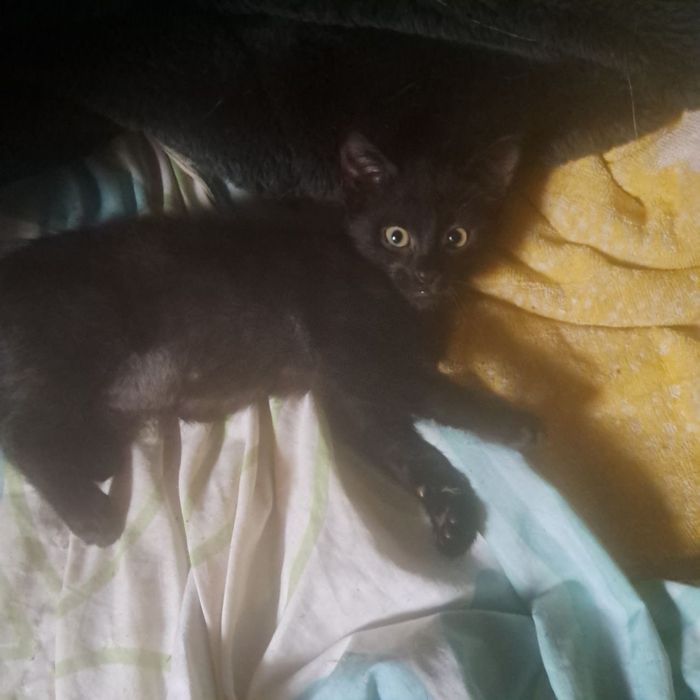 Маленький хлопчик шукає родину