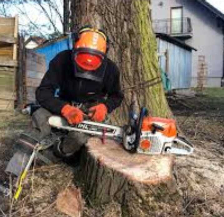 Wycinka drzew alpinistyczne przycinanie żywopłotu itp ..