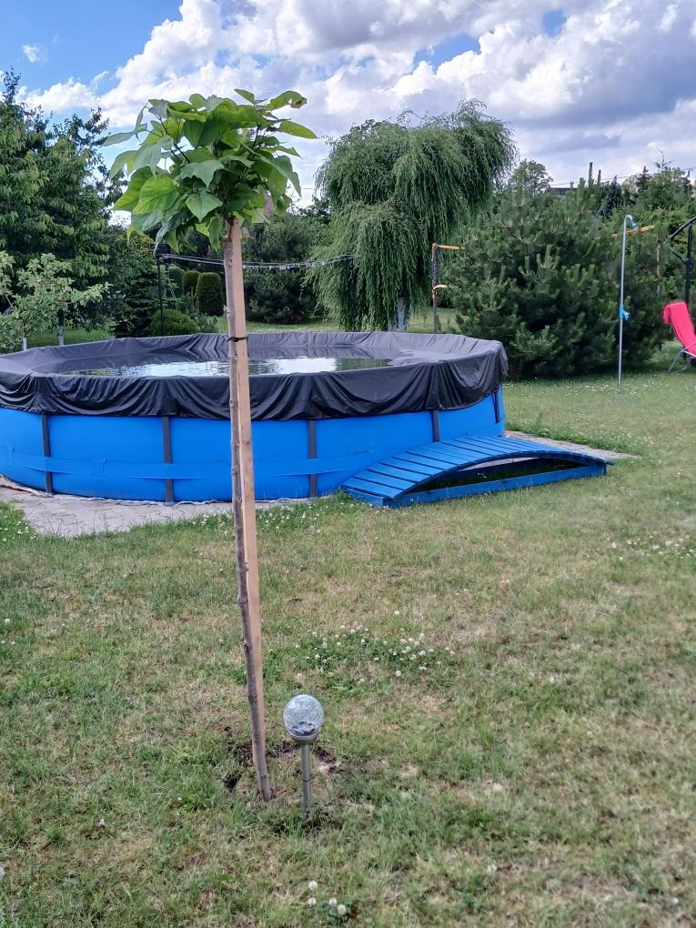 Domek na Kaszubach (całoroczny) !