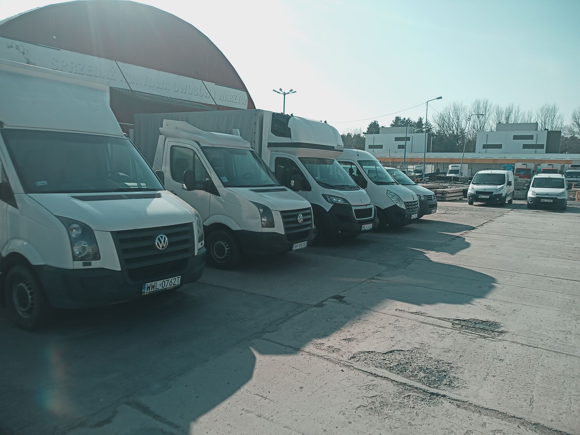 Wynajem busa dostawczy Caddy, Traffic, Master, Boxer