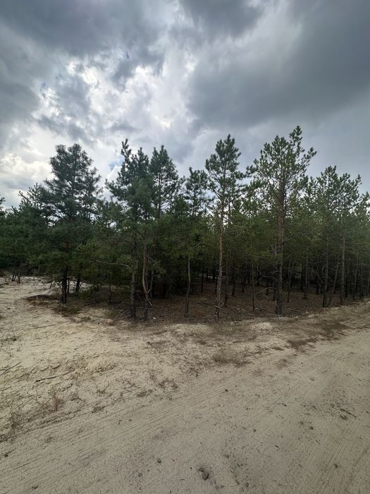 Продаж без% земельної ділянки 12,4 сотки в Riviera Village