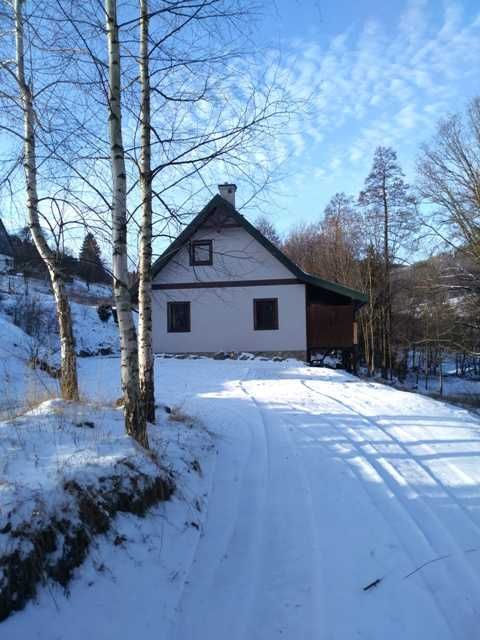 Dom domek w górach Kletno Sudety Śnieżnik Czarna Góra Wesoła Chmura