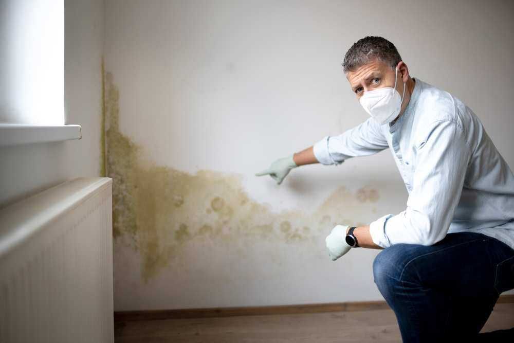 Pinturas e reparações de paredes